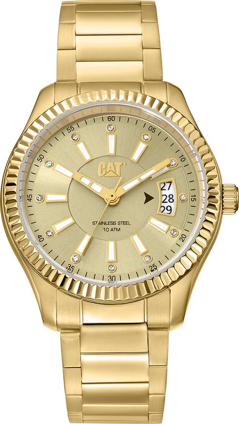 Women's Ray Watch Gold Dial w/Gold Stainless Steel Strap